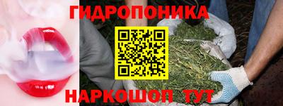 apvp Владимир