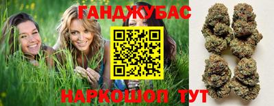мдпв Вышний Волочёк