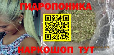 apvp Владимир