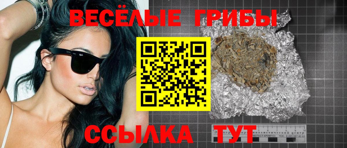 Галлюциногенные грибы Psilocybine cubensis Десногорск
