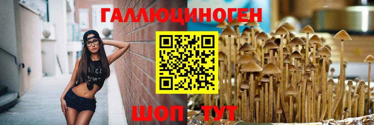 Десногорск  Псилоцибиновые грибы мицелий  Вход с VPN  Псилоцибиновые грибы мухоморы 